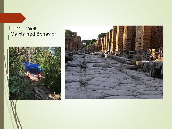 TTM – Well Maintained Behavior 