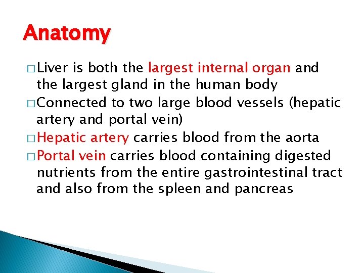 Anatomy � Liver is both the largest internal organ and the largest gland in