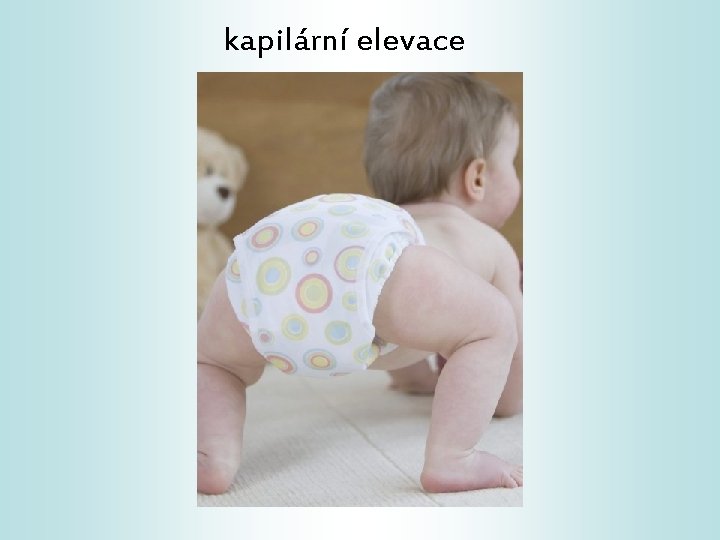 kapilární elevace 