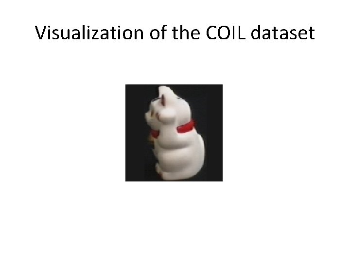 Visualization of the COIL dataset 