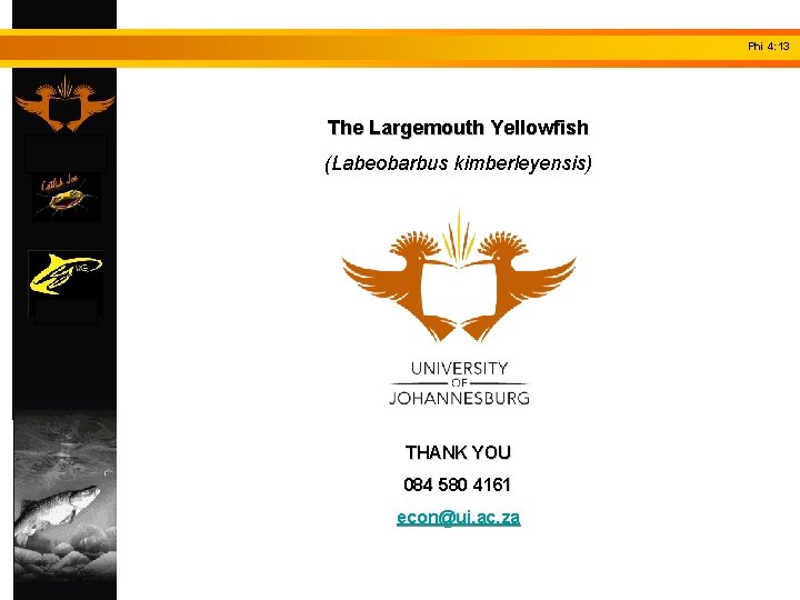 Phi 4: 13 The Largemouth Yellowfish (Labeobarbus kimberleyensis) THANK YOU 084 580 4161 econ@uj.