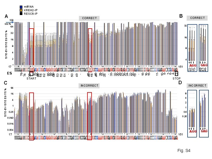 A mt. RNA KREH 2 -IP RESC 6 -IP B CORRECT 128 32 32