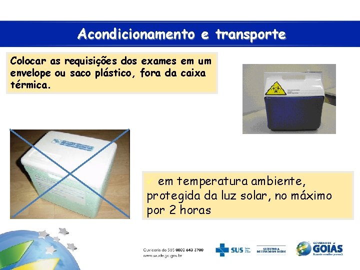 Acondicionamento e transporte Colocar as requisições dos exames em um envelope ou saco plástico,