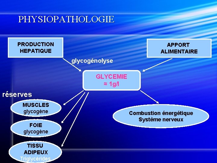 PHYSIOPATHOLOGIE PRODUCTION HEPATIQUE APPORT ALIMENTAIRE glycogénolyse GLYCEMIE ≈ 1 g/l réserves MUSCLES glycogène FOIE