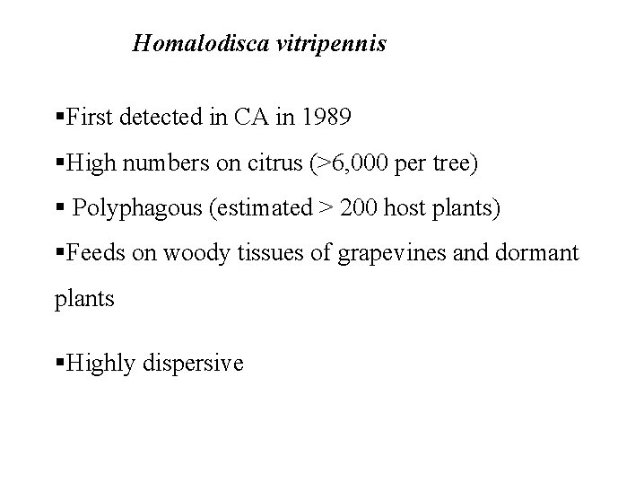 Homalodisca vitripennis §First detected in CA in 1989 §High numbers on citrus (>6, 000