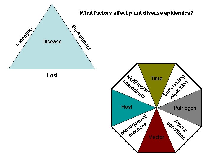 What factors affect plant disease epidemics? nt Host M Time int ultit er rop