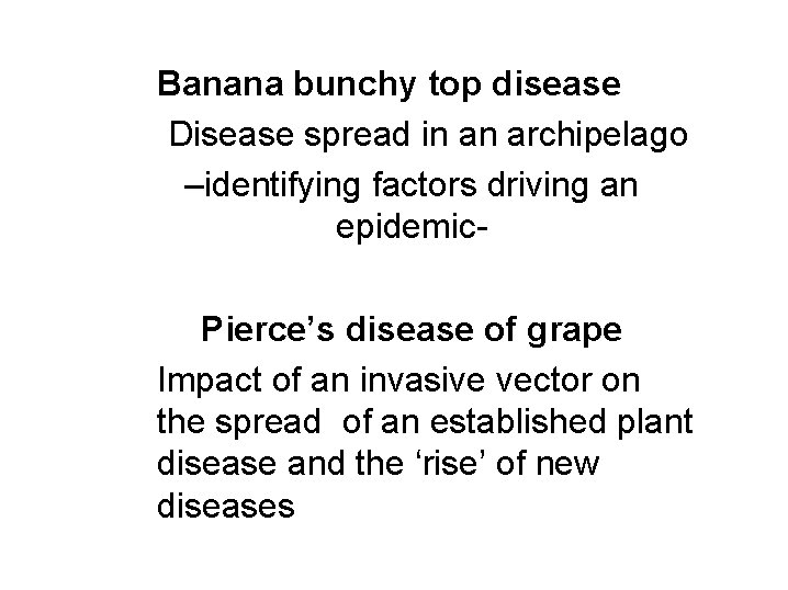 Banana bunchy top disease Disease spread in an archipelago –identifying factors driving an epidemic.