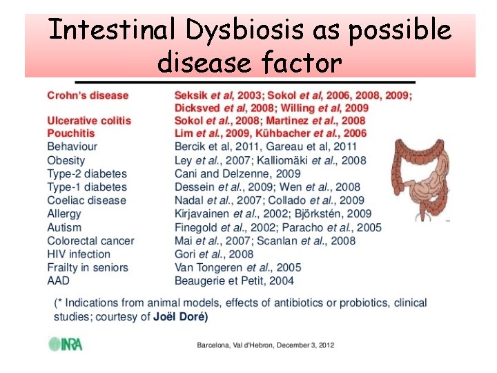 Intestinal Dysbiosis as possible disease factor 