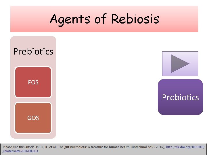 Agents of Rebiosis Prebiotics FOS Drugs Simvastatin, FMT C Difficle Metformin, Probiotics Rifaximin GOS