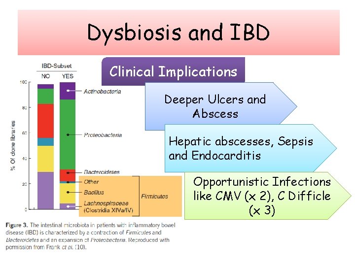 Dysbiosis and IBD Clinical Implications Deeper Ulcers and Abscess Hepatic abscesses, Sepsis and Endocarditis