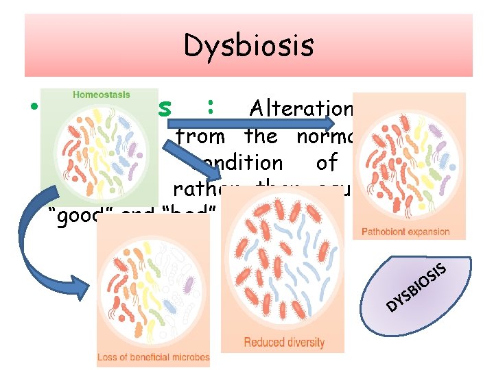 Dysbiosis • Dysbiosis : Alteration of the microbiota from the normal, healthy state. A