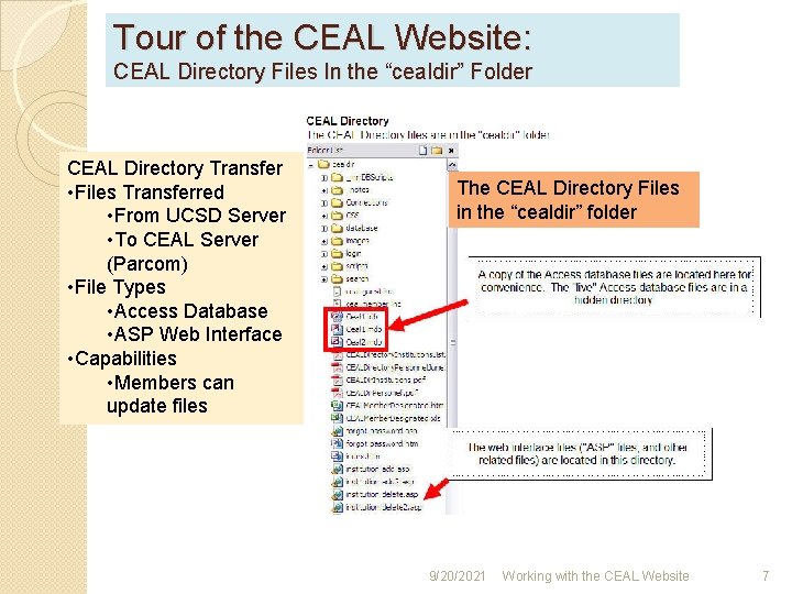 Tour of the CEAL Website: CEAL Directory Files In the “cealdir” Folder CEAL Directory