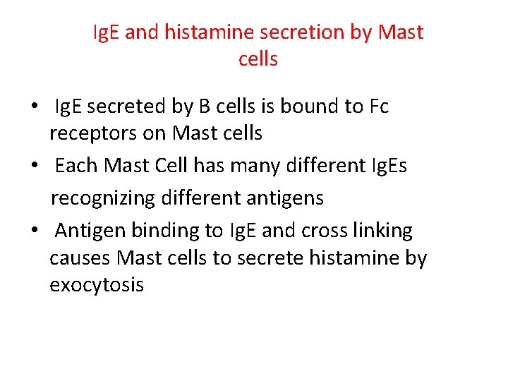 Ig. E and histamine secretion by Mast cells • Ig. E secreted by B