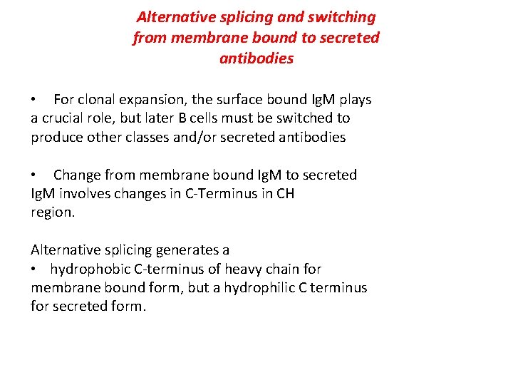 Alternative splicing and switching from membrane bound to secreted antibodies • For clonal expansion,