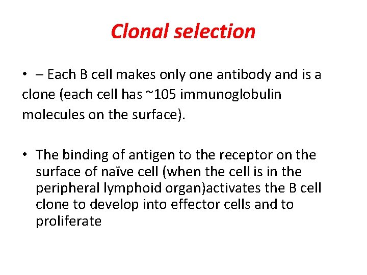 Clonal selection • – Each B cell makes only one antibody and is a