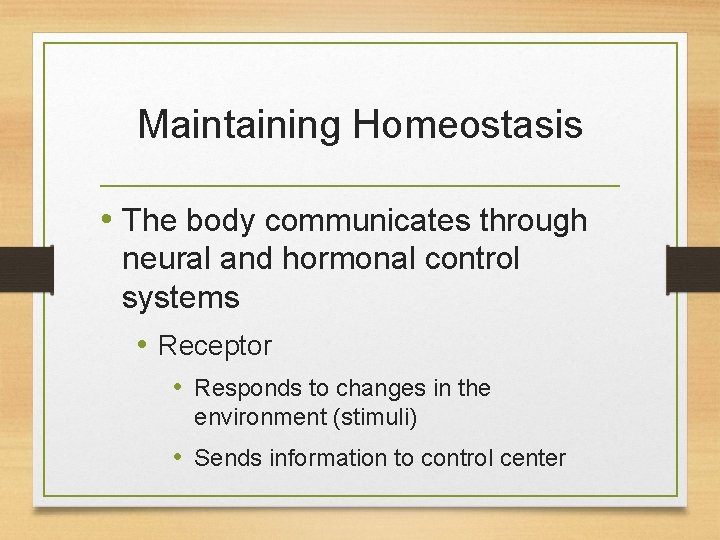 Maintaining Homeostasis • The body communicates through neural and hormonal control systems • Receptor Maintaining Homeostasis • The body communicates through neural and hormonal control systems • Receptor