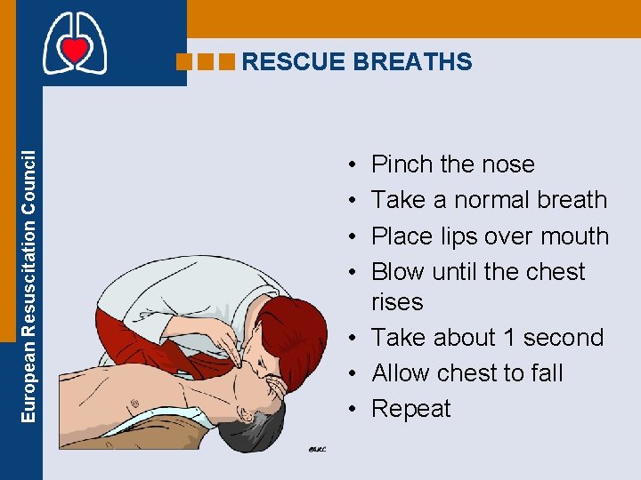 European Resuscitation Council RESCUE BREATHS • • Pinch the nose Take a normal breath