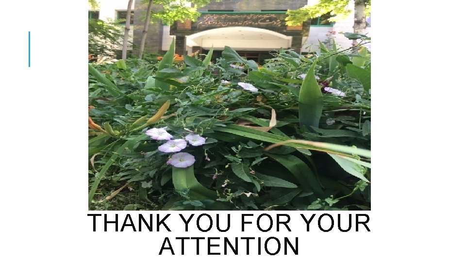 THANK YOU FOR YOUR ATTENTION 