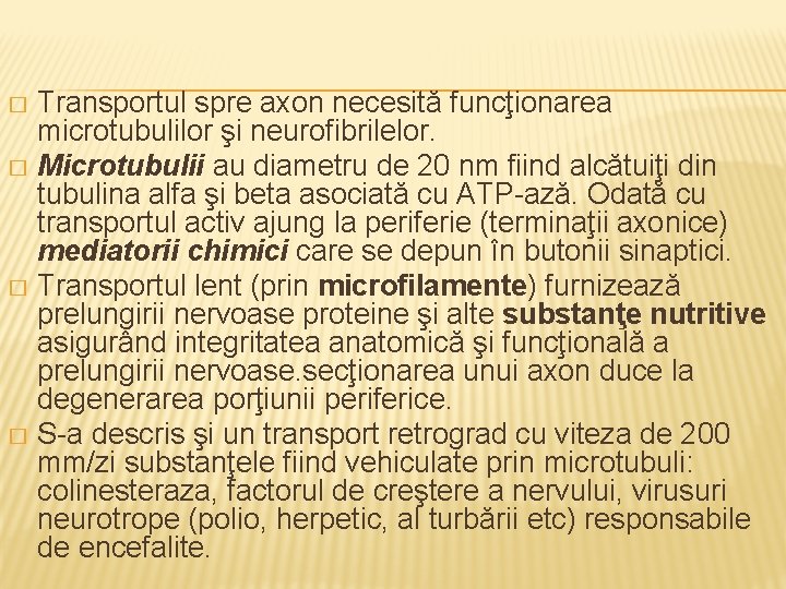 Transportul spre axon necesită funcţionarea microtubulilor şi neurofibrilelor. � Microtubulii au diametru de 20