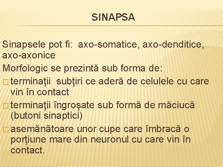 SINAPSA Sinapsele pot fi: axo-somatice, axo-denditice, axo-axonice Morfologic se prezintă sub forma de: �