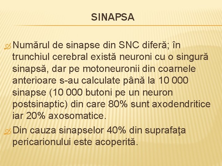 SINAPSA Numărul de sinapse din SNC diferă; în trunchiul cerebral există neuroni cu o