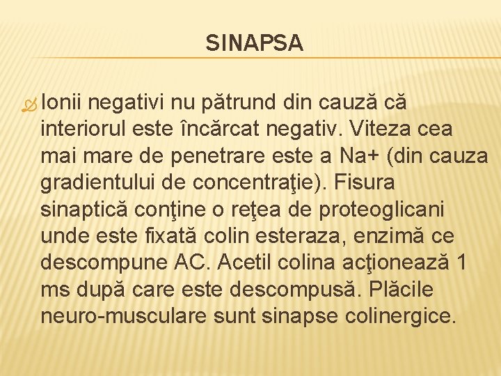 SINAPSA Ionii negativi nu pătrund din cauză că interiorul este încărcat negativ. Viteza cea