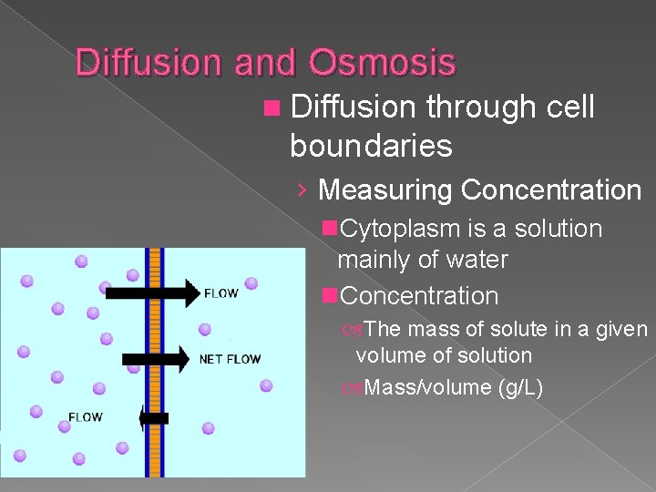 Diffusion and Osmosis n Diffusion through cell boundaries › Measuring Concentration n. Cytoplasm is