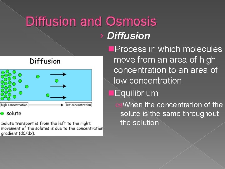 Diffusion and Osmosis › Diffusion n. Process in which molecules move from an area
