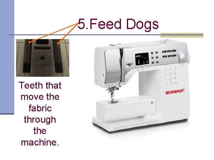 5. Feed Dogs Teeth that move the fabric through the machine. 