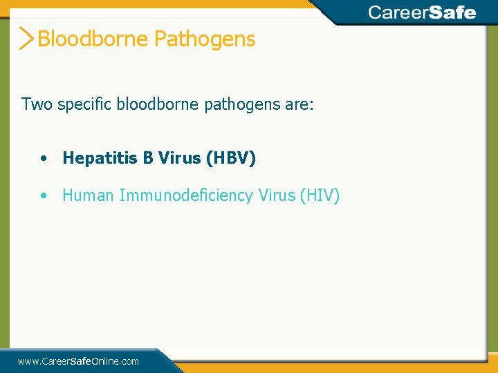 Bloodborne Pathogens Two specific bloodborne pathogens are: • Hepatitis B Virus (HBV) • Human