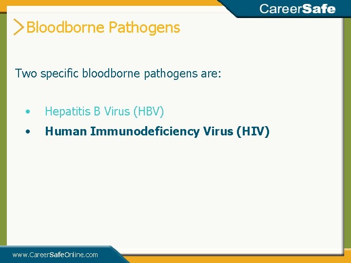 Bloodborne Pathogens Two specific bloodborne pathogens are: • Hepatitis B Virus (HBV) • Human