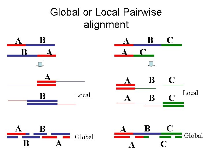 Global or Local Pairwise alignment A B B A A A B A Local