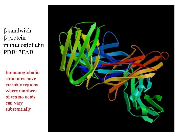  sandwich protein immunoglobulin PDB: 7 FAB Immunoglobulin structures have variable regions where numbers