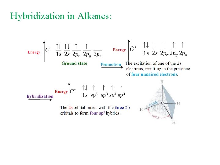 Hybridization in Alkanes: 