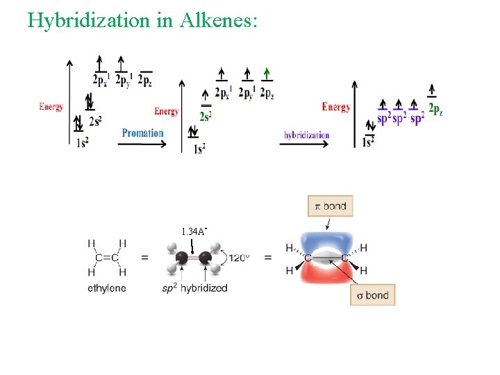 Hybridization in Alkenes: 1. 34 A° Hybridization in Alkenes: 1. 34 A°