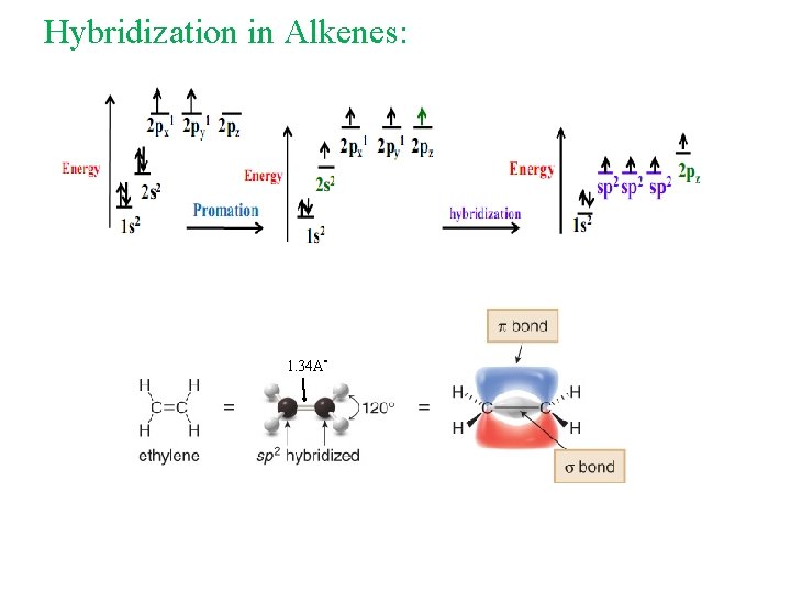 Hybridization in Alkenes: 1. 34 A° 