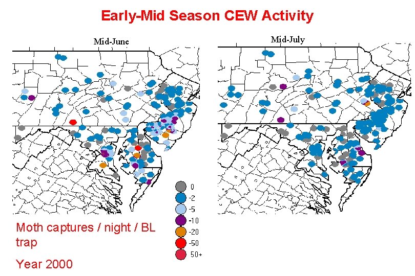 Early-Mid Season CEW Activity Mid-June Moth captures / night / BL trap Year 2000