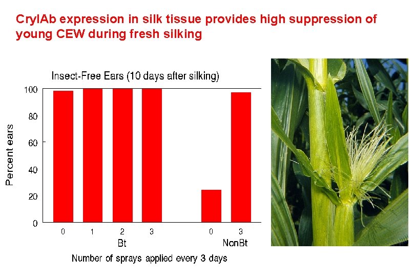 Cry. IAb expression in silk tissue provides high suppression of young CEW during fresh