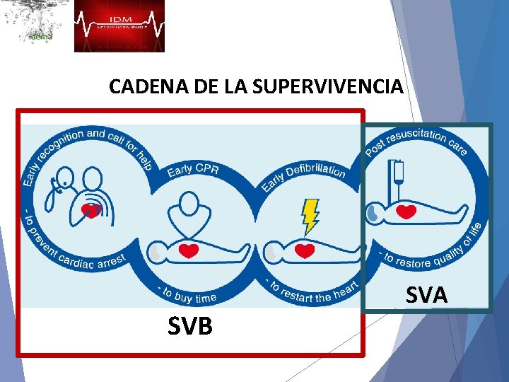 CADENA DE LA SUPERVIVENCIA SVB SVA 