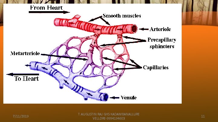 7/11/2019 T. AUGUSTIN RAJ GHS KADAMBANALLURE VELLORE-9994194603 11 