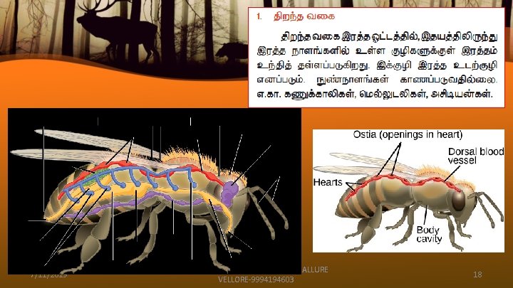 7/11/2019 T. AUGUSTIN RAJ GHS KADAMBANALLURE VELLORE-9994194603 18 