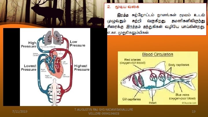 7/11/2019 T. AUGUSTIN RAJ GHS KADAMBANALLURE VELLORE-9994194603 19 