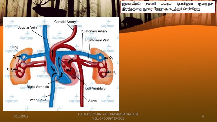 7/11/2019 T. AUGUSTIN RAJ GHS KADAMBANALLURE VELLORE-9994194603 6 