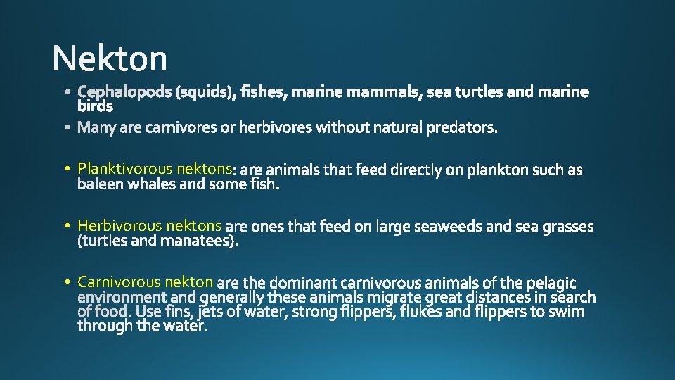  • Planktivorous nektons • Herbivorous nektons • Carnivorous nekton 