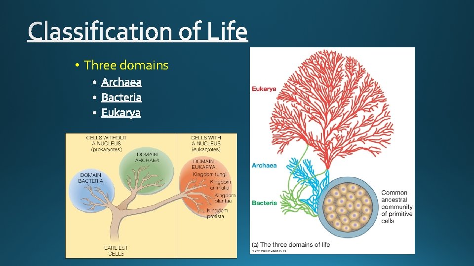  • Three domains 