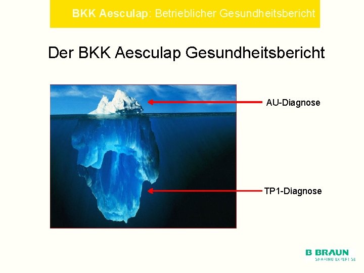 BKK Aesculap: Betrieblicher Gesundheitsbericht Der BKK Aesculap Gesundheitsbericht AU-Diagnose TP 1 -Diagnose 