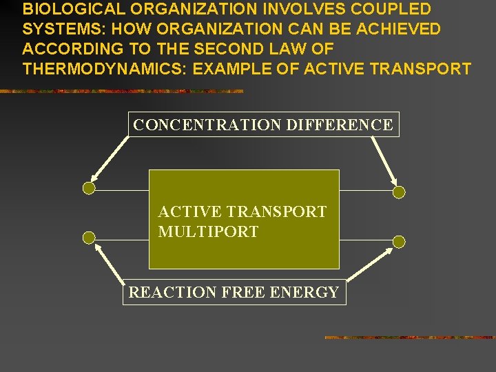 BIOLOGICAL ORGANIZATION INVOLVES COUPLED SYSTEMS: HOW ORGANIZATION CAN BE ACHIEVED ACCORDING TO THE SECOND