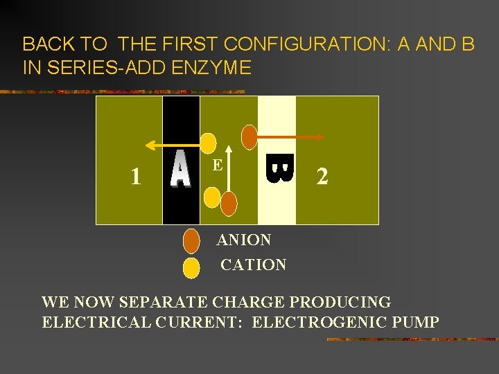 BACK TO THE FIRST CONFIGURATION: A AND B IN SERIES-ADD ENZYME 1 E 2
