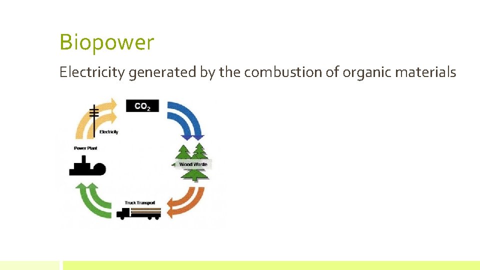 Biopower Electricity generated by the combustion of organic materials 