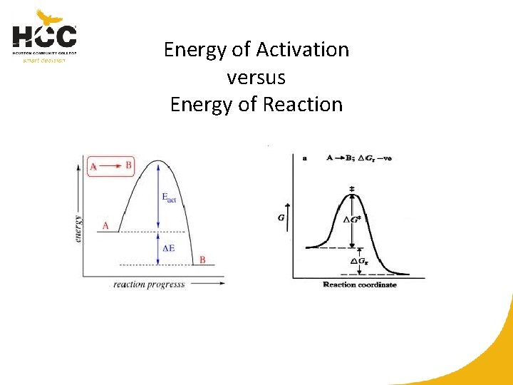 Energy of Activation versus Energy of Reaction 